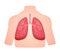 human anatomy organ lung pulmonary breath respiratory system white isolated background flat style