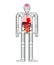 Human anatomy pixel art. 8bit Internal organs and skeleton. Pixelate 16bit. Old game computer graphics style