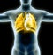 Human anatomy, problems with the respiratory system, severely damaged lungs and heart.