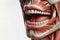 Human anatomy showing mouth with muscular system visible isolated on solid a white background. ai generative