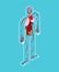 Human anatomy. Transparent body and internal organs. vector illustration