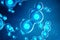 Human or animal cells on blue background. Concept Early stage embryo Medicine scientific concept, Stem cell research and