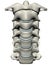 Human anterior cervical spine (neck)