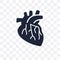 Human Artery transparent icon. Human Artery symbol design from H