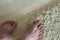 Human bare feet standing on the floor. One foot on carpet and an