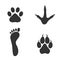 Human and birds and mammals - footprints silhouettes set isolated on white background, such as idea of logo in gray.