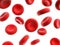Human blood cells - close up