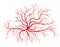 Human blood veins, red vessels vector illustration