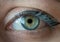 Human blue eye.