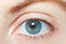 Human, blue healthy eye macro