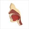 Human body anatomy gullet system. Head nasal and throat breathing structure. Teeth and tongue in mouth, face illustration. Medical