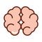 Human body brain cerebral hemisphere anatomy organ health line and fill icon