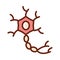 Human body cell molecule anatomy organ health line and fill icon