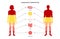 Human body composition