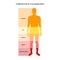 Human body composition