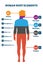 Human body elements, vector illustration infographic