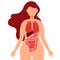Human body health care infographics of lungs, digestive tract, large intestine, liver and stomach