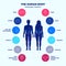 Human body infographic elements, male and female silhouettes and internal organs line icon set, vector flat design