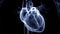 Human Body Organs Cardiovascular System with Heart Anatomy