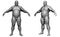 The Human body in overweight- Fat man body - isolated model - 3d render