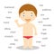 Human body parts vocabulary Vector Illustration