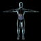 Human body by X-rays, digestive system