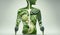 Human body shape made of Healthy of varies raw organic vegetables, fresh ingredients for cook and meals, high vitamin and minerals