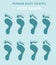 Human body shapes.Feet types icon set