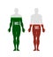 Human body silhouette with energy, immunity or water balance icon, percentage level, chart, creative infographic design