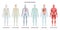 Human body systems set. Anatomical educational banner. Cardiovascular,