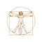 Human body of vitruvian man