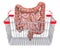 Human bowel in shopping basket, 3D rendering