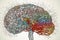 Human Brain AI Colorful Doodle Sketch Illustration, learning new Knowledge, Creativity, Inspiration, Mindset, Skillshare and Visio