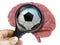 Human Brain Analyzed with magnifying glass Soccer ball or football ball addiction inside isolated