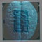 Human brain anatomical model with CPU processor microchip.