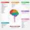 Human brain anatomy and functions