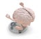 Human brain with arms and legs over balance