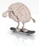 Human brain with arms and legs on skateboard