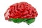 Human brain with Belarusian flag. Scientific research and education in Belarus concept, 3D rendering