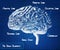 The human brain blueprint