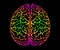 Human Brain. Bright Colors Black Background. Cerebral Hemispheres, Convolutions Of The Mind, Brain`s Bends. View From Above