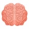 Human brain cerebellum icon, cartoon style