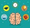 Human brain education thinking concept
