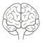 Human brain front view. Line illustration