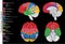 Human brain functional areas anatomy infographic diagram