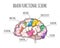 Human Brain Functional Scheme. Vector Illustration