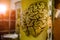 Human brain in glass jar with formaldehyde for medical studies