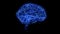 Human brain. Glowing blue light line of human brain model. Motion animated neurons in 3d virtual space
