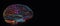 Human brain with glowing neurons and nervous system on black background with copy space. Abstract. Generative AI.
