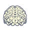 Human brain hand drawn icon